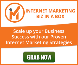 Internet Marketing Biz In A Box